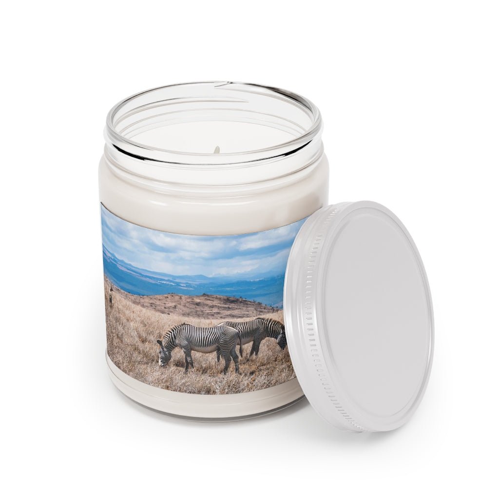 Zebra-Stripped Expanse - Scented Candles, 9oz - Visiting This World